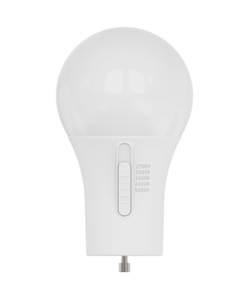 GU24 A19 LED – 5Way CCT Adjustable