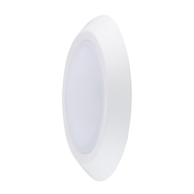 4″ Disk Light 5Way CCT