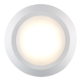 4" Disk Light 5Way CCT
